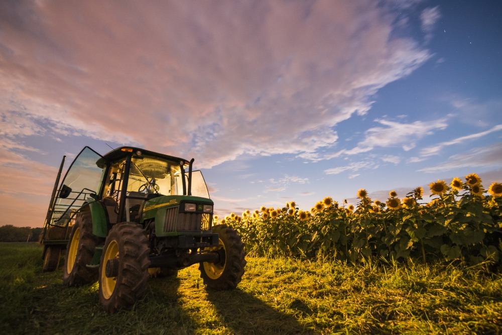 Tracteur dans un champ de tournesol Tracteur dans un champ de tournesol